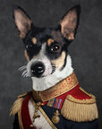black and white dog in a military outfit