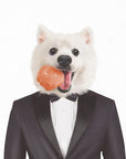 white Pomeranian in a suit holding its favourite ball in its mouth